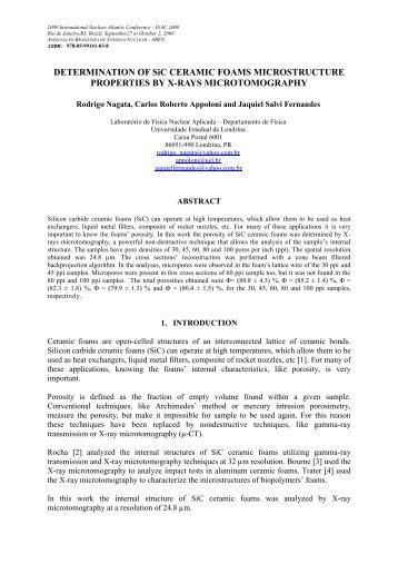 DETERMINATION OF SiC CERAMIC FOAMS MICROSTRUCTURE ...