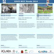 XXVII BICC Ronda 2014