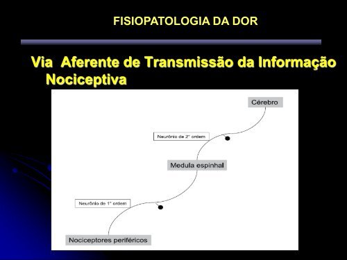 FISIOLOGIA DA DOR - UFF