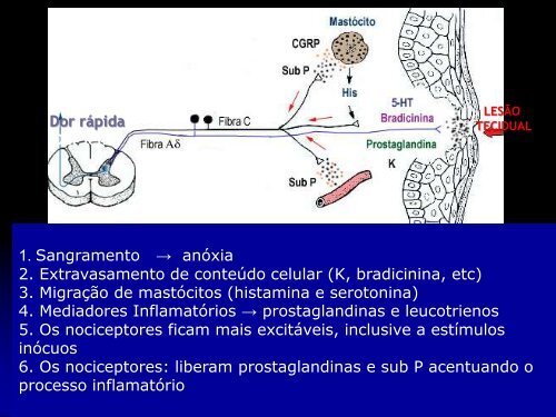 FISIOLOGIA DA DOR - UFF