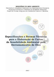 especificaÃ§Ãµes e normas tÃ©cnicas para elaboraÃ§Ã£o de cartas de ...