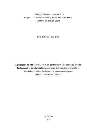 DissertaÃ§Ã£o - Universidade Federal de Juiz de Fora