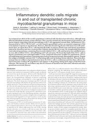 Inflammatory dendritic cells migrate in and out of transplanted ...