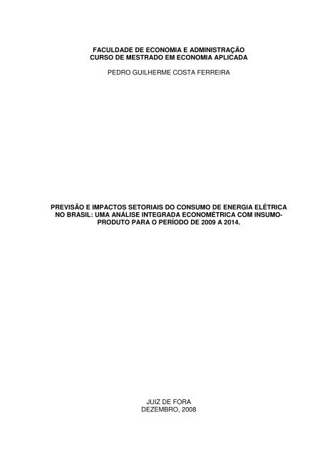 dissertacao_pedro_ferreira - Universidade Federal de Juiz de Fora