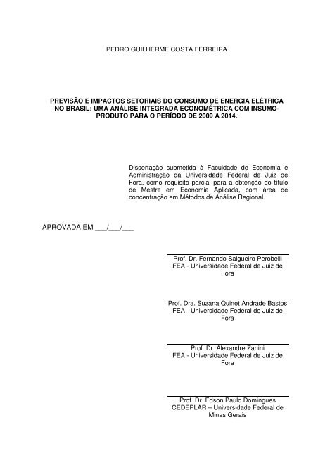 dissertacao_pedro_ferreira - Universidade Federal de Juiz de Fora