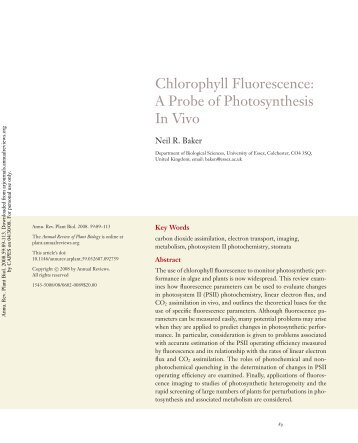 Chlorophyll Fluorescence: A Probe of Photosynthesis In Vivo