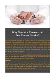Why Need of a Commercial Pest Control Service?