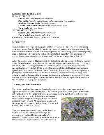 Longleaf Pine Reptile Guild - South Carolina Department of Natural ...