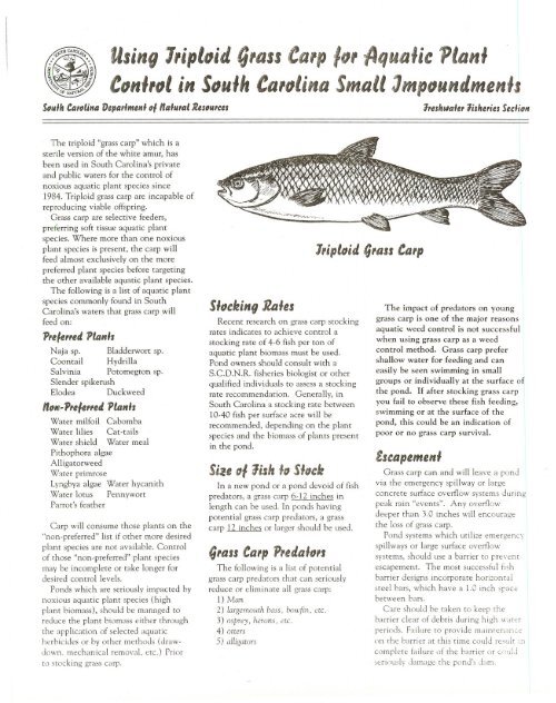 Using Triploid Grass Carp for Aquatic Plant Control in SC Small