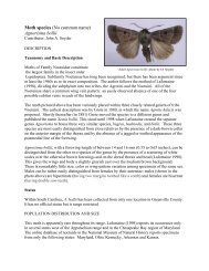 Moth species (No common name) - South Carolina Department of ...