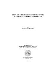 flow and salinity characteristics of the santee river estuary, south ...