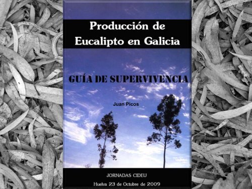 ProducciÃ³n de Eucalipto en Galicia