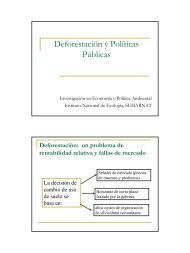 Deforestación y Políticas Públicas