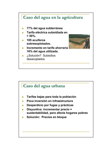 Deforestación y Políticas Públicas