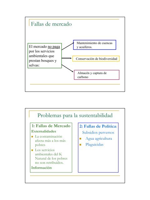 Deforestación y Políticas Públicas