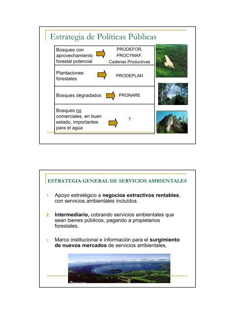 Deforestación y Políticas Públicas