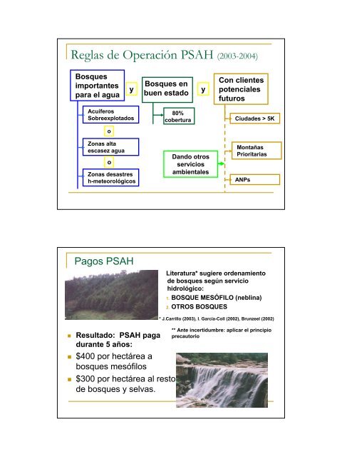 Deforestación y Políticas Públicas