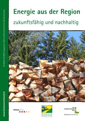 Energie aus der Region: zukunftsfÃ¤hig und nachhaltig