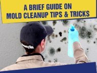 Mold Removal in Indiana - Professional and Timely Service!