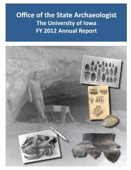 FY 2012 Annual Report - University of Iowa