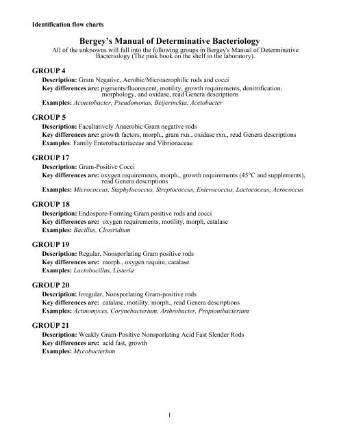 Streptococcus Identification Chart