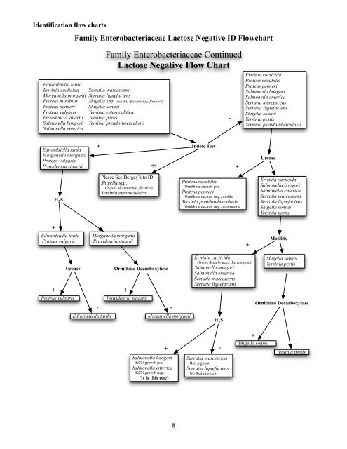 Bergey S Manual Identification Flow Charts