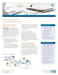 A Network-Hosted VoIP Solution - AT&T