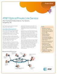 AT&T Optical Private Line Service