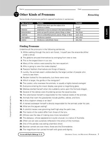 Other Kinds of Pronouns - Scott County Schools