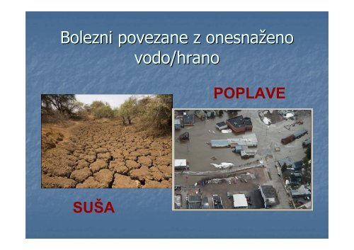 Vektorske bolezni v Sloveniji in ukrepi za njihovo prepreÄevanje