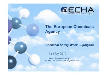 The European Chemicals Agency