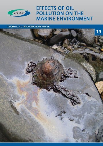 TIP 13 Effects of Oil Pollution on the Marine Environment - ITOPF