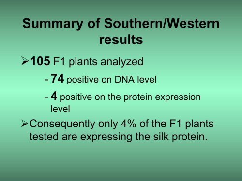 Spider Silk Expression in Alfalfa