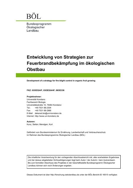 Entwicklung von Strategien zur ... - KOPS - Universität Konstanz