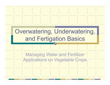 Overwatering, Underwatering, and Fertigation Basics