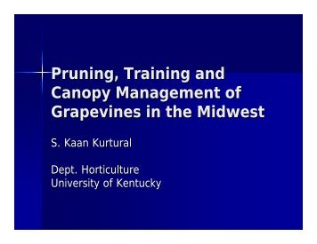 Pruning, Training and Canopy Management of Grapevines in the ...