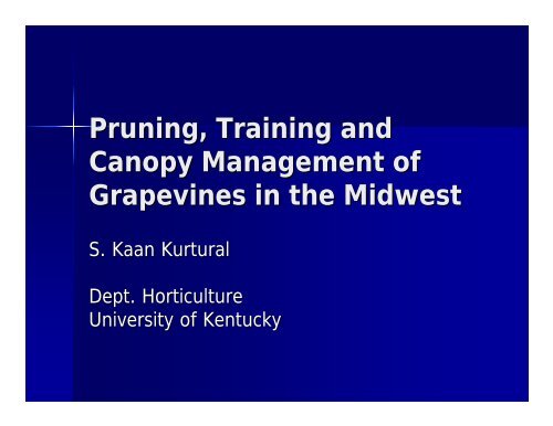 Pruning, Training and Canopy Management of Grapevines in the ...