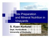 Site Preparation and Mineral Nutrition in Vineyards - University of ...