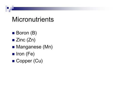 Site Preparation and Mineral Nutrition in Vineyards - University of ...