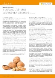 Pyramide alimentaire : 6 groupes d'aliments pour manger sainement