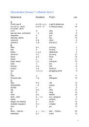Woordenlijst Chinees? 'n Makkie! Deel 2 - De Digitale School