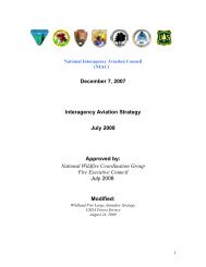 Interagency Aviation Strategy - July 2008 - National Wildfire ...