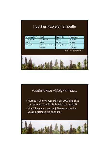 Hamppu viljelykierrossa, Noora NorokytÃ¶, HyÃ¶tyhamppu-hanke - MTK