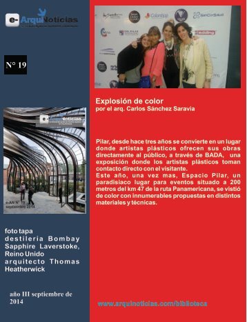 e-AN N° 19 nota N° 8 Explosión de color por el arq. Carlos Sánchez Saravia