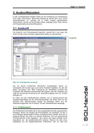 3. Auskunftssystem - Format Software GmbH