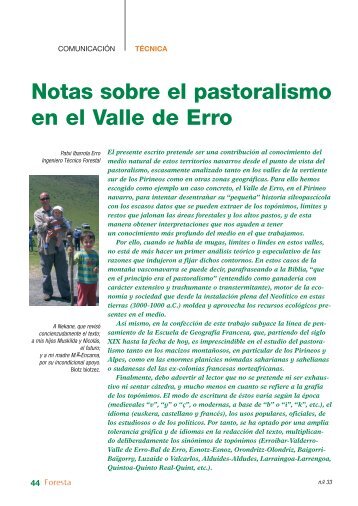 Notas sobre el pastoralismo en el Valle de Erro