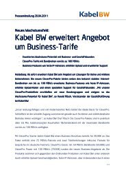Kabel BW erweitert Angebot um Business-Tarife
