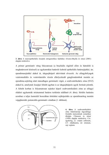 dr. Zádori Anita - Semmelweis Egyetem Doktori Iskola