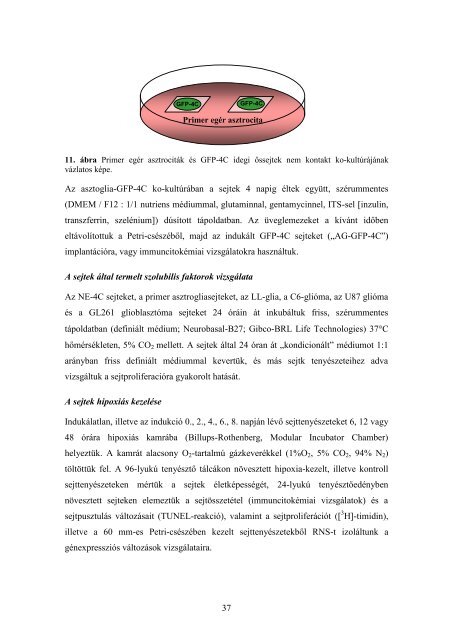 dr. Zádori Anita - Semmelweis Egyetem Doktori Iskola