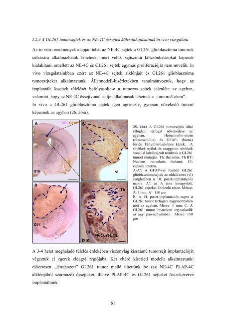 dr. Zádori Anita - Semmelweis Egyetem Doktori Iskola